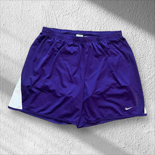 Nike Dri-Fit Women’s Purple Training Shorts — 3XL