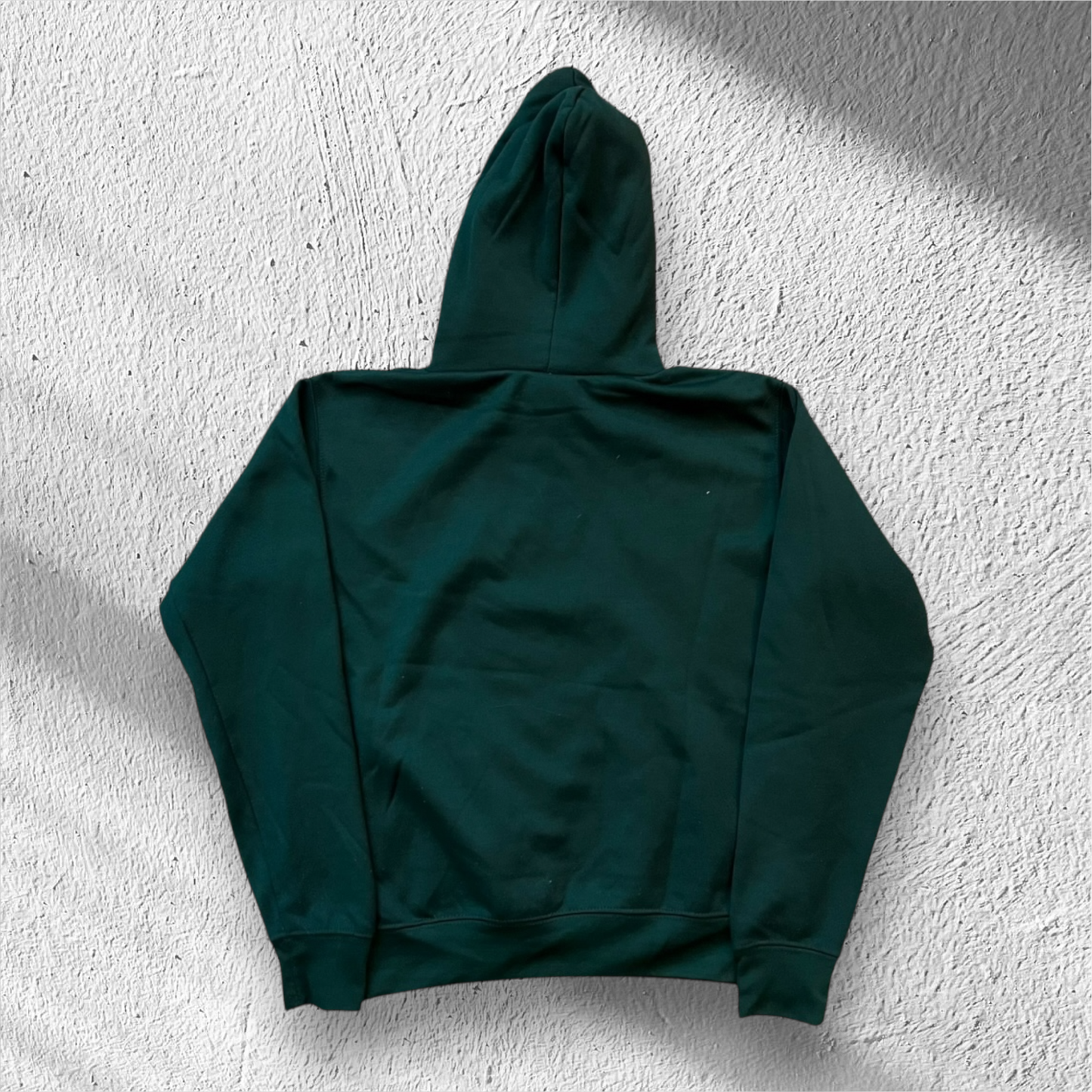 Vintage Michigan State Spartans Hoodie – Old Varsity Brand